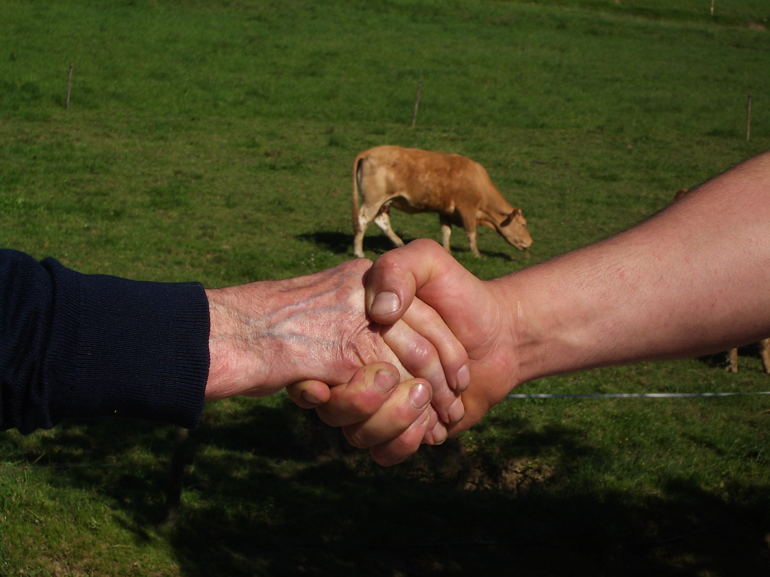 Abierta por 2 meses la convocatoria de Ayudas a la Cooperación