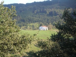 Gipuzkoa abre hasta el 29 de Junio el plazo para sus ayudas forestales